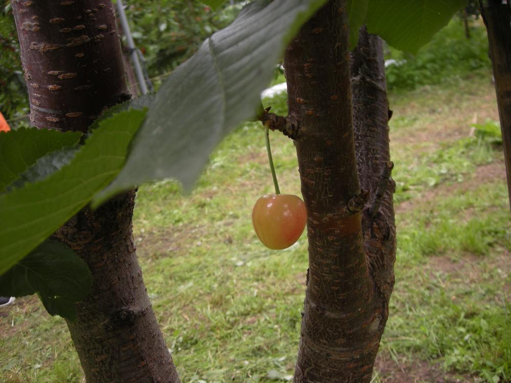 DSCN2815.jpg