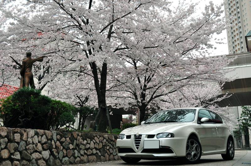 sakura2.jpg