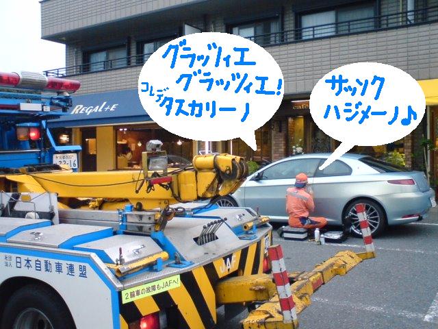 5.JPG