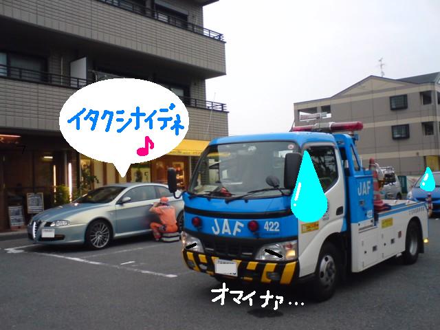 6.JPG
