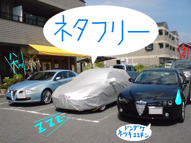 8.JPG