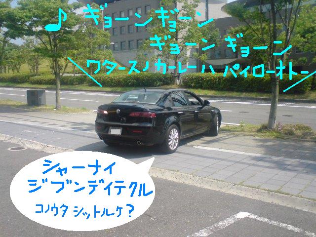 9.JPG
