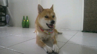 2011082808280000.jpg