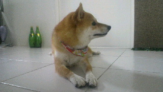 2011082808280001.jpg