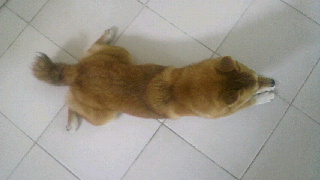 2011082808280002.jpg