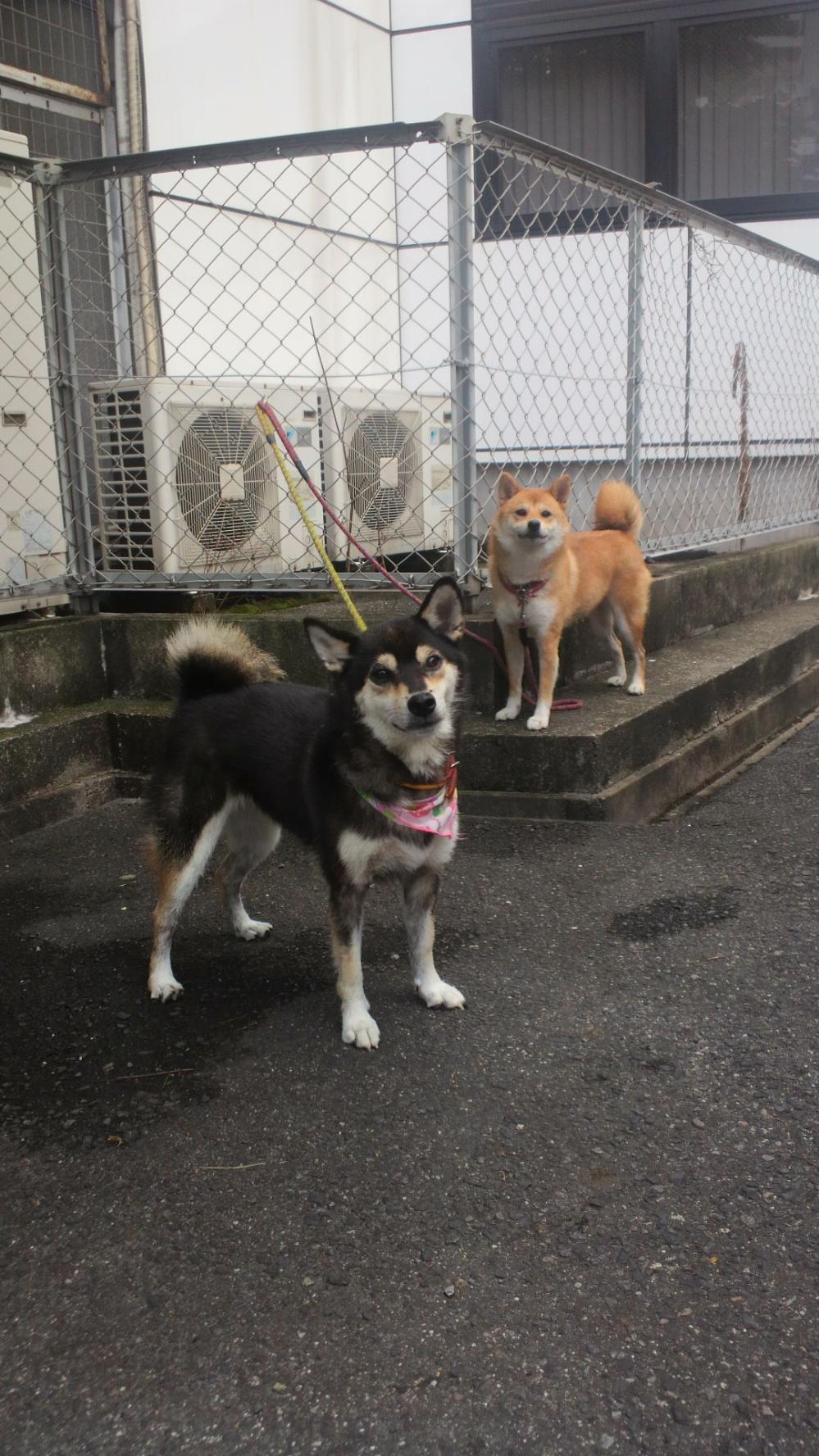 2011082811570000.jpg