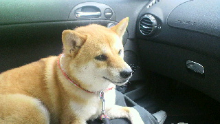 2011082815090000.jpg