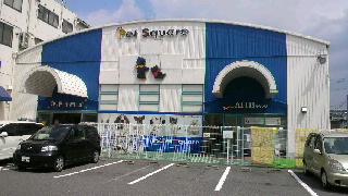 2011082815090001.jpg