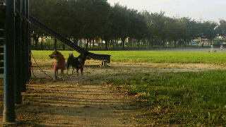 2011082906350000.jpg