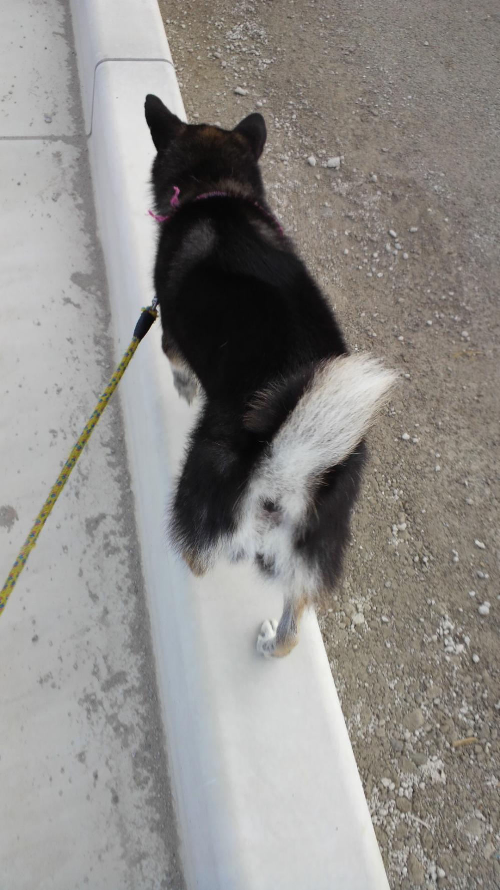 2011083006520000.jpg