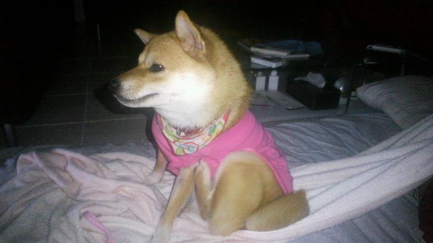 2011083105480000.jpg