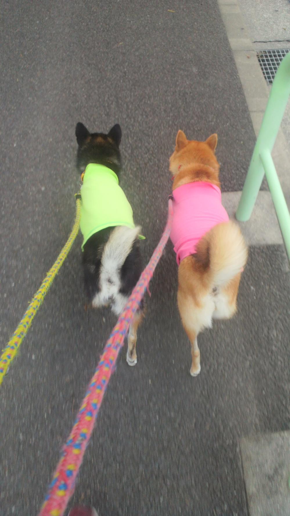 2011083106200000.jpg