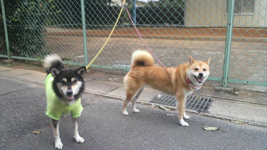 2011090206320000.jpg