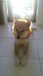 2011091606080000.jpg