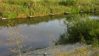 2011091610320000.jpg