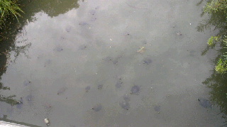 2011091610320001.jpg
