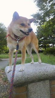 2011091610340000.jpg