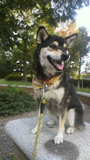 2011091610350000.jpg