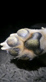 2011092121400000.jpg