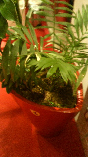 2011092205540002.jpg