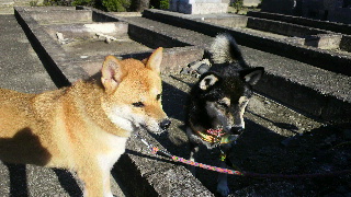 2011092308530000.jpg