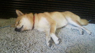 2011092315240000.jpg
