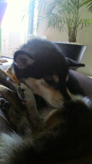 2011092315240001.jpg