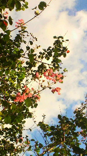 2011092605400000.jpg