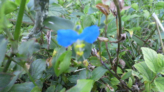 2011092606300000.jpg
