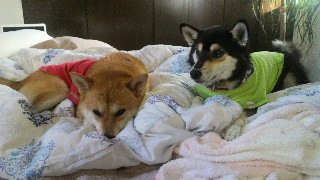 2011092718110000.jpg