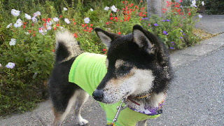 2011092807310001.jpg