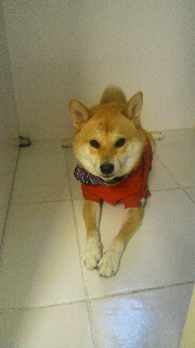 2011093006170001.jpg