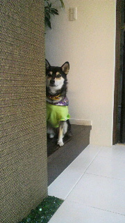 2011093006170002.jpg
