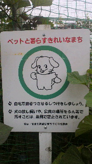 2011100106110000.jpg
