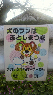 2011100106120000.jpg