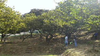 2011100109080001.jpg