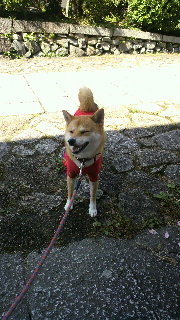 2011100117470000.jpg
