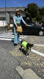 2011100117480000.jpg