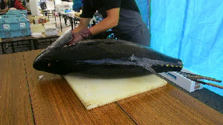 2011100209580000.jpg