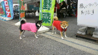 2011100209580002.jpg