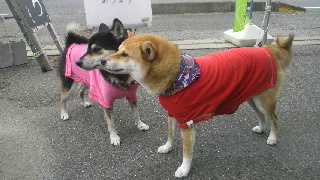 2011100214170001.jpg