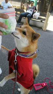 2011100219330000.jpg