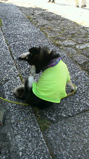 2011100219340000.jpg