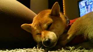 2011100304420001.jpg