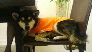 2011100304430000.jpg