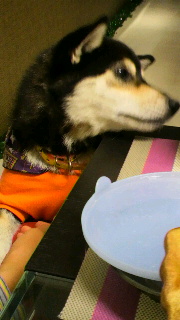 2011100320010002.jpg