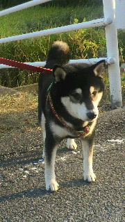 2011100406290000.jpg
