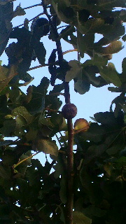 2011100506000000.jpg
