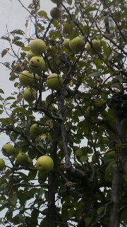 2011100507130001.jpg