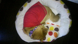 2011100507220000.jpg